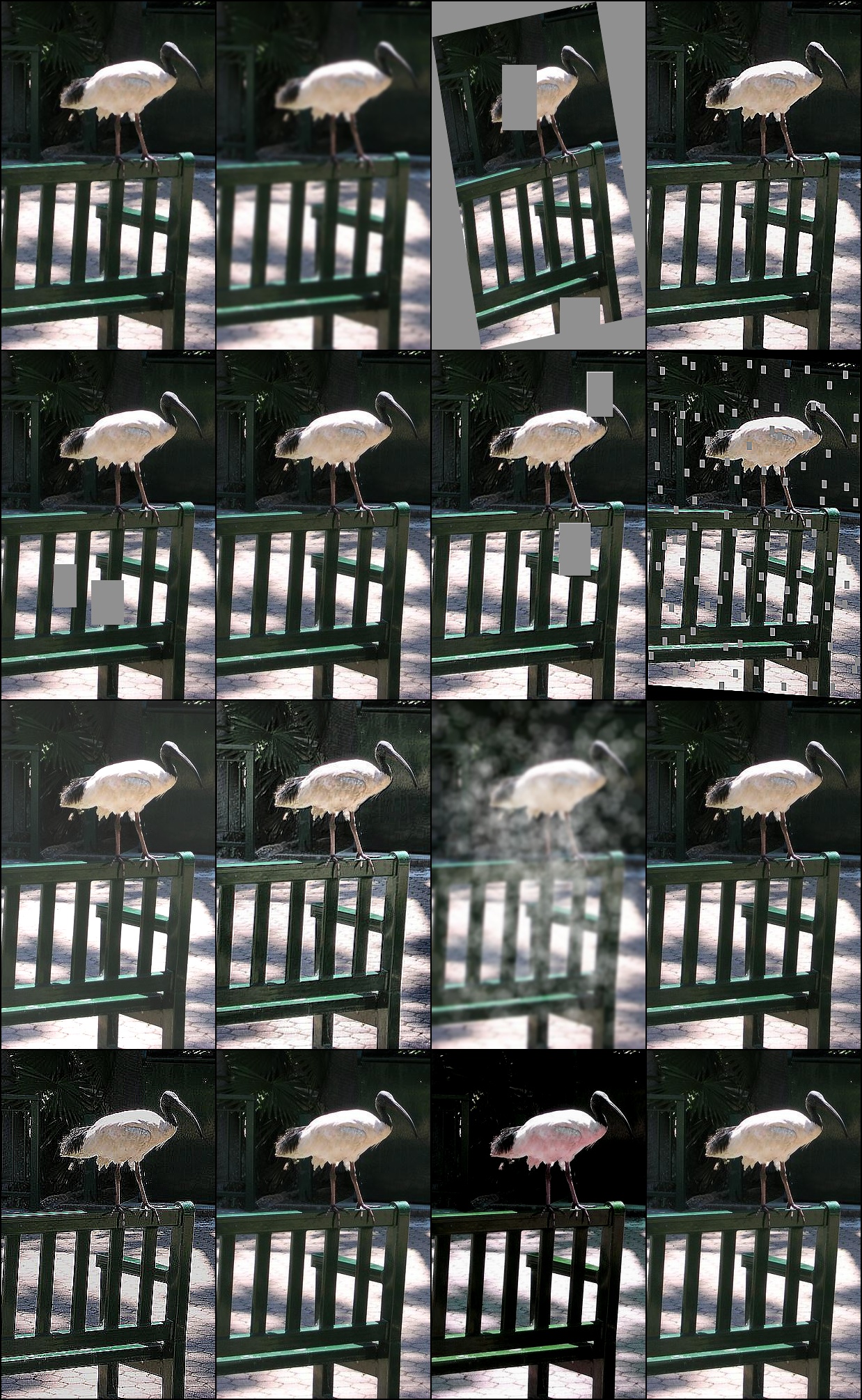 Augmented input placeholder